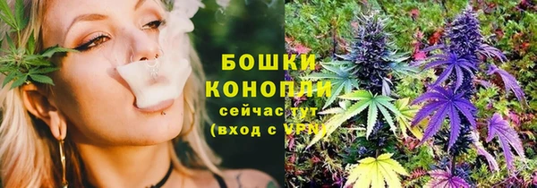 гашик Аркадак