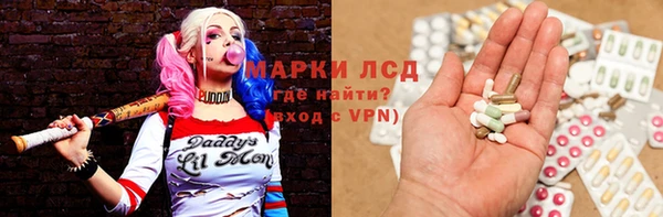 гашик Аркадак