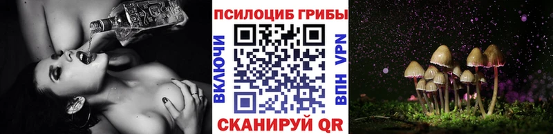 гидра зеркало Павловск Псилоцибиновые грибы Magic Shrooms где купить наркоту